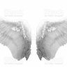 WhiteAngel44